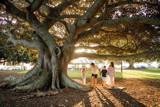Kianawah | Wynnum West | Family Under a Tree