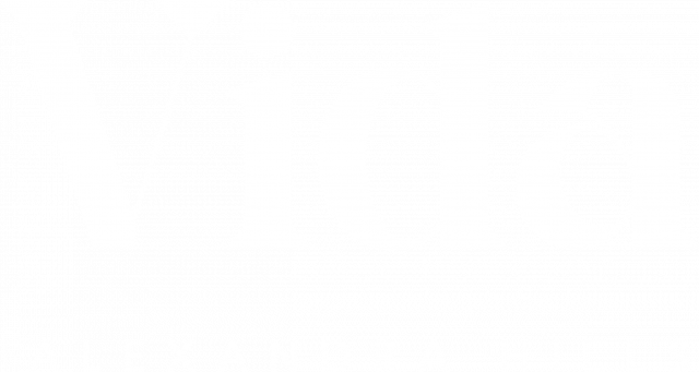 Vida